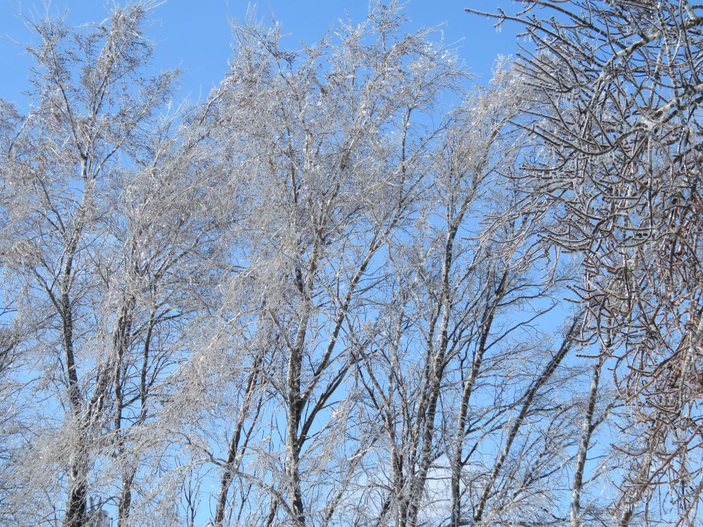 -20 degrees | Jan. 17, 1994